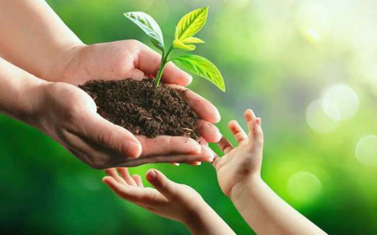 Zwei Hände halten Erde und eine keimende Pflanze in den Händen und übergeben es an kleinere Hände.