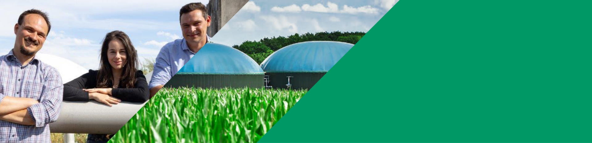 Studie Bioenergie Studie Bioenergie