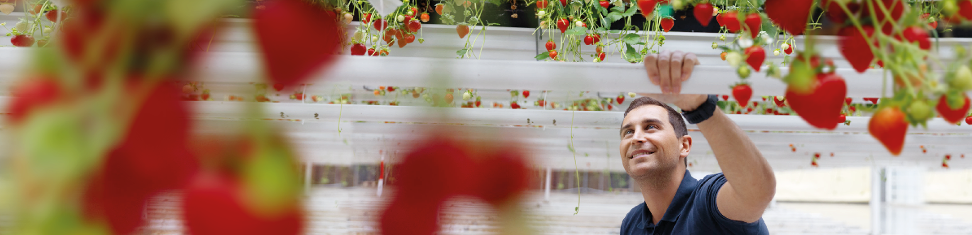 Das zentrale Refinanzierungsinstitut der deutschen Agrar- und Ernährungswirtschaft mit Förderauftrag stellt sich und seine speziellen Kredite vor.