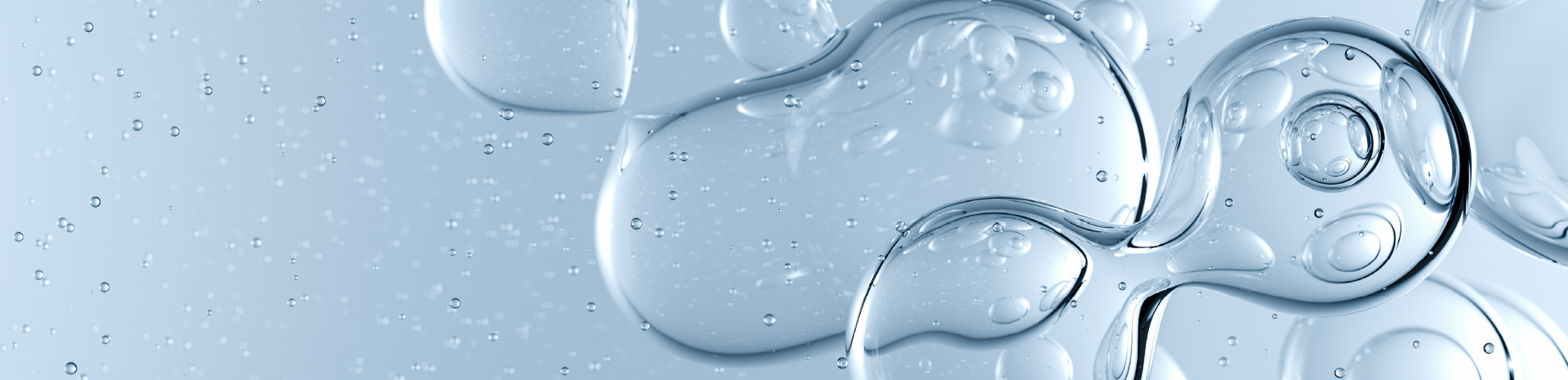 Bioeconomy Deep Dives: Bio-LNG Bioeconomy Deep Dives: Bio-LNG