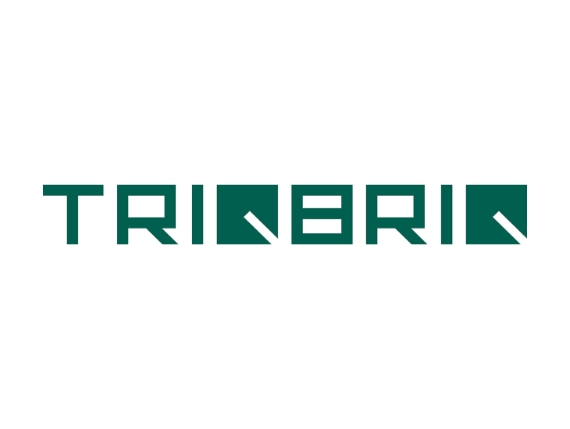 Logo von TRIQBRIQ